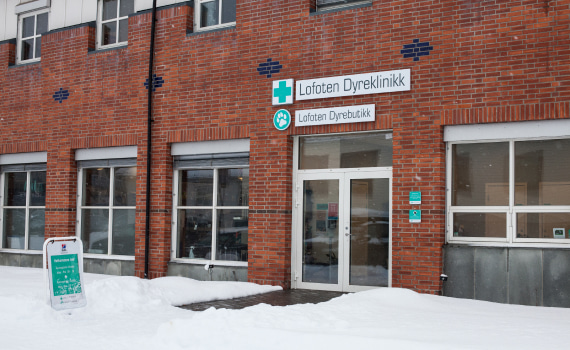 Utsiden av Lofoten Dyreklinikk, inngang