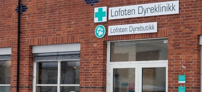 Utsiden av bygget til Lofoten Dyreklinikk