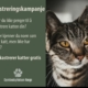 katt DB